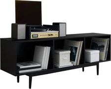 Liam Large Vinyl Record Storage TV Stand and Entertainment Center, Media Console