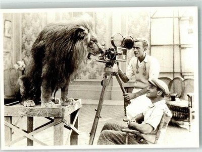 39908823 - USA Circa 1925 Tripod Camera to Photograph a Lion