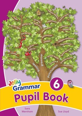 Grammar 6 Pupil Book: In Precursive Letters (British English edition) by Sara We