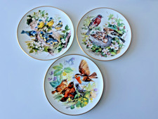 BRADEX   3  Hutschenreuther Sammelteller Vogelfamilien von Ursula Brand 24 cm