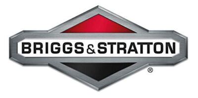 ORIGINAL OEM BRIGGS & STRATTON - ENTHÄLT 5 260875 4113