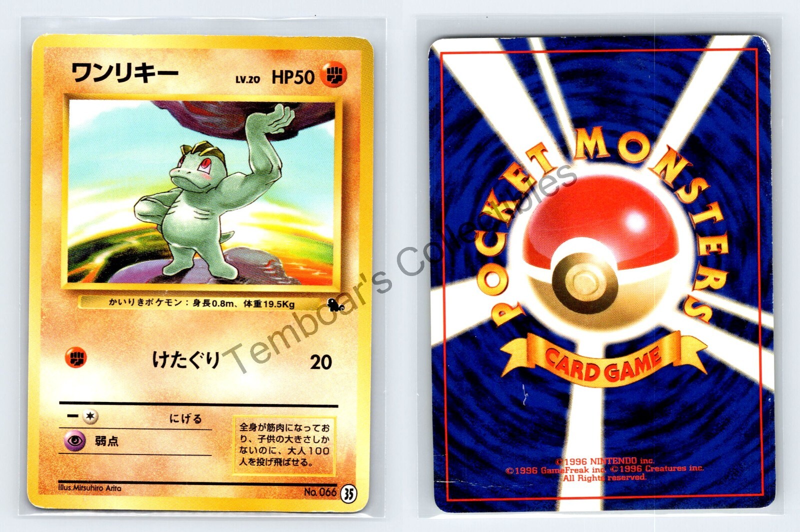 Machop【 ワンリキー 】No.066 (#35) ⭐️ 1999 Japanese  Squirtle Deck ⭐️ Non-Holo ⭐️ LP-MP