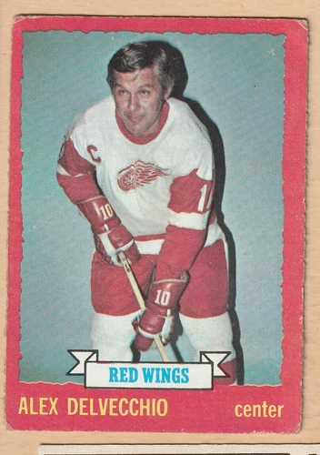 HOCKEY CARD NHL 1973-74 ALEX DELVECCHIO DETROIT RED WINGS  OPC  #1