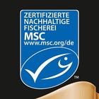Bild 8 von 8