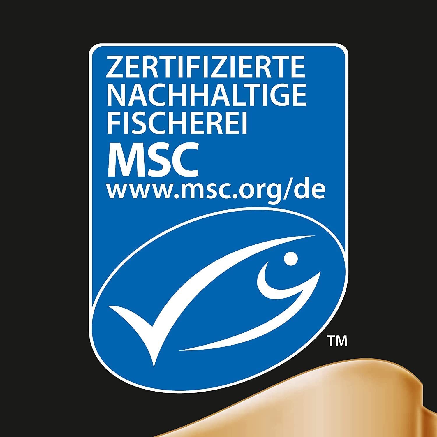 Bild 8 von 8