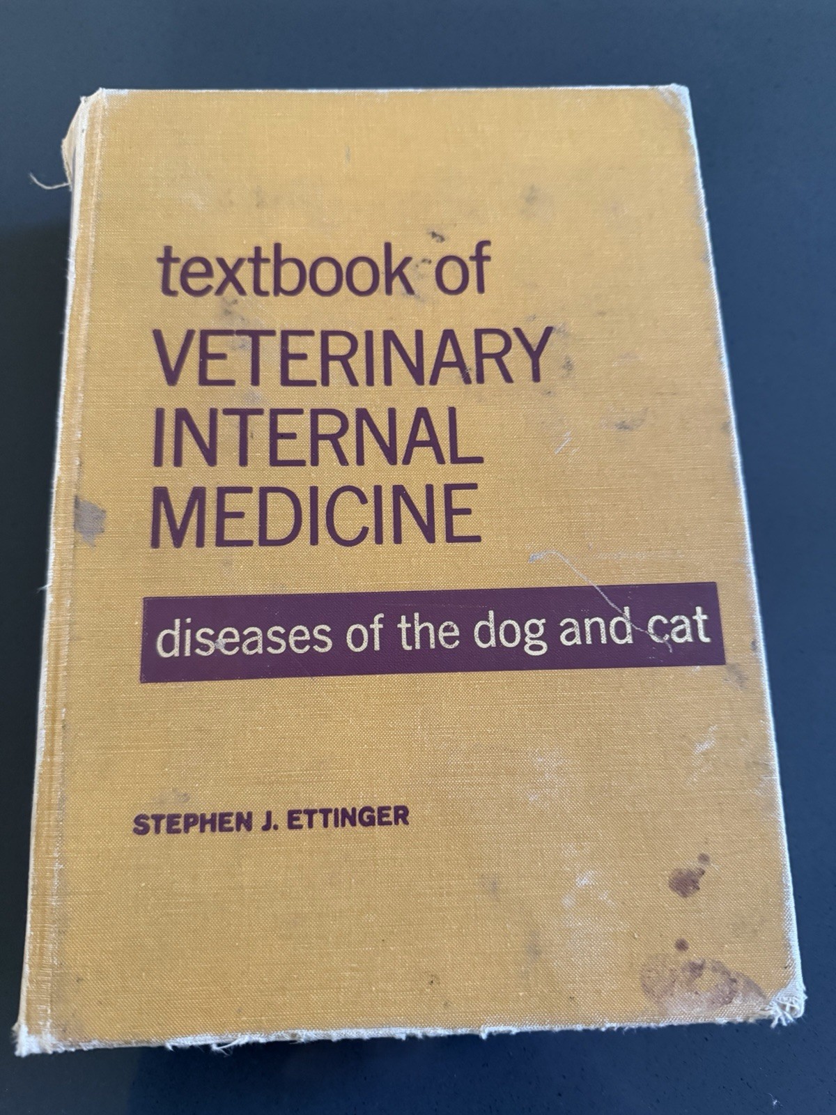 Veterinary Internal Medicine: Diseases of the Dog and Cat by Stephen J. Ettinger