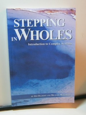 Stepping in Wholes: Introduction to Complex Systems