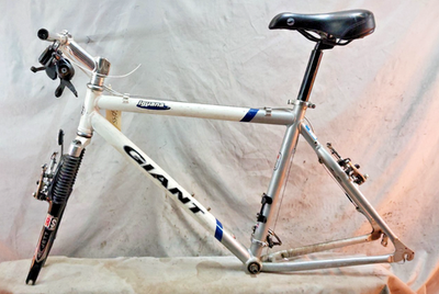 04' Giant Iguana SE MTB Bike Frameset 19