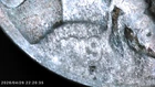 1919 S Buffalo Nickel Restored Five Cent 5c Coin-Make an offer!