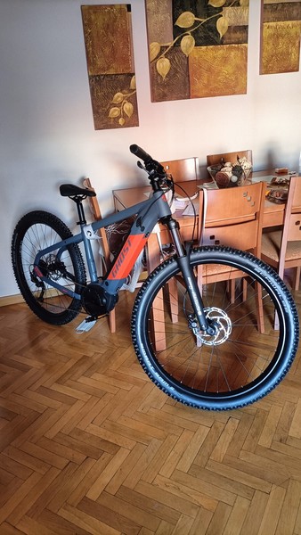 bicicleta electrica de montaña