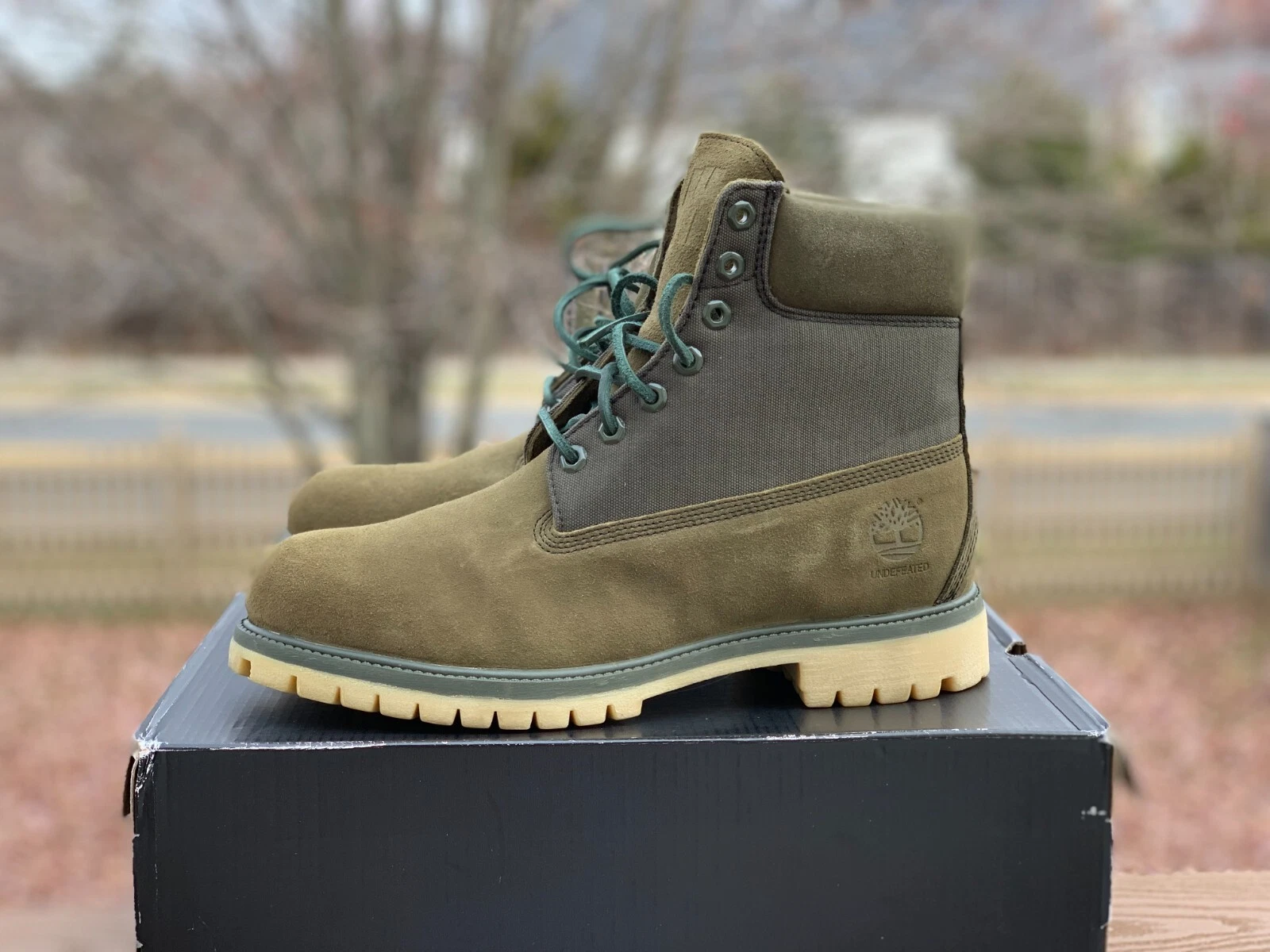 Timberland 6