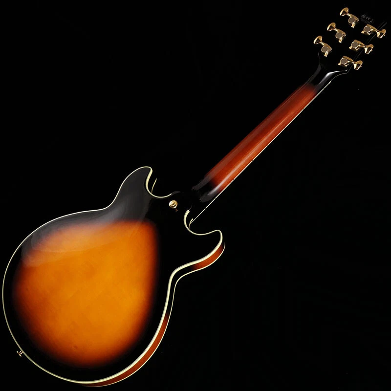 Ibanez am2000h 2024