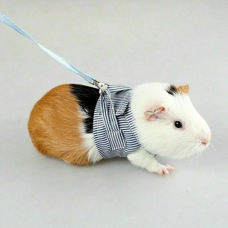 Hamster Lead Leash Chinchilla Dutch Pig Out Pulling Rope Strap Cotton Clothes - Image 3 of 4