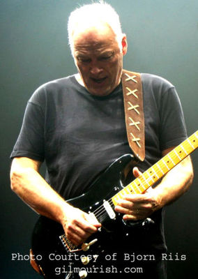 SUEDE GUITAR STRAP FEATURED ON GILMOUR-ISH DOT COM, STANDARD LENGTH FITS MOST