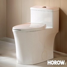 HOROW Elongated One Piece Toilet 10'' Rough-in Dual Flush 1.1/1.6 GPF MAP 1000g
