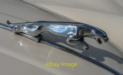 Foto 6x4 Jaguar Emblem bei Cuffley Steam and Heavy Horse Event Northaw c2013