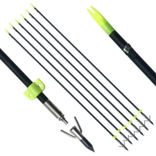 6pcs 35" Arrows Bowfishing with Steel Replaceable Torpedo Tip Fish Broadheads