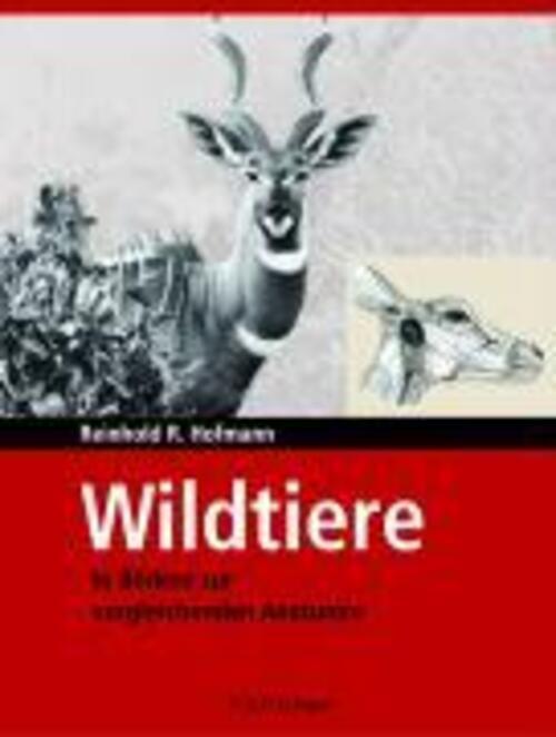 Wildtiere In Bildern Zur Vergleichenden Anatomie Reinhold R. Hofmann