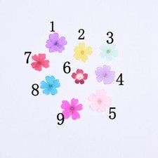12PCS real Pressed dry Flower 9 colors dyed available, for art candle FCD28