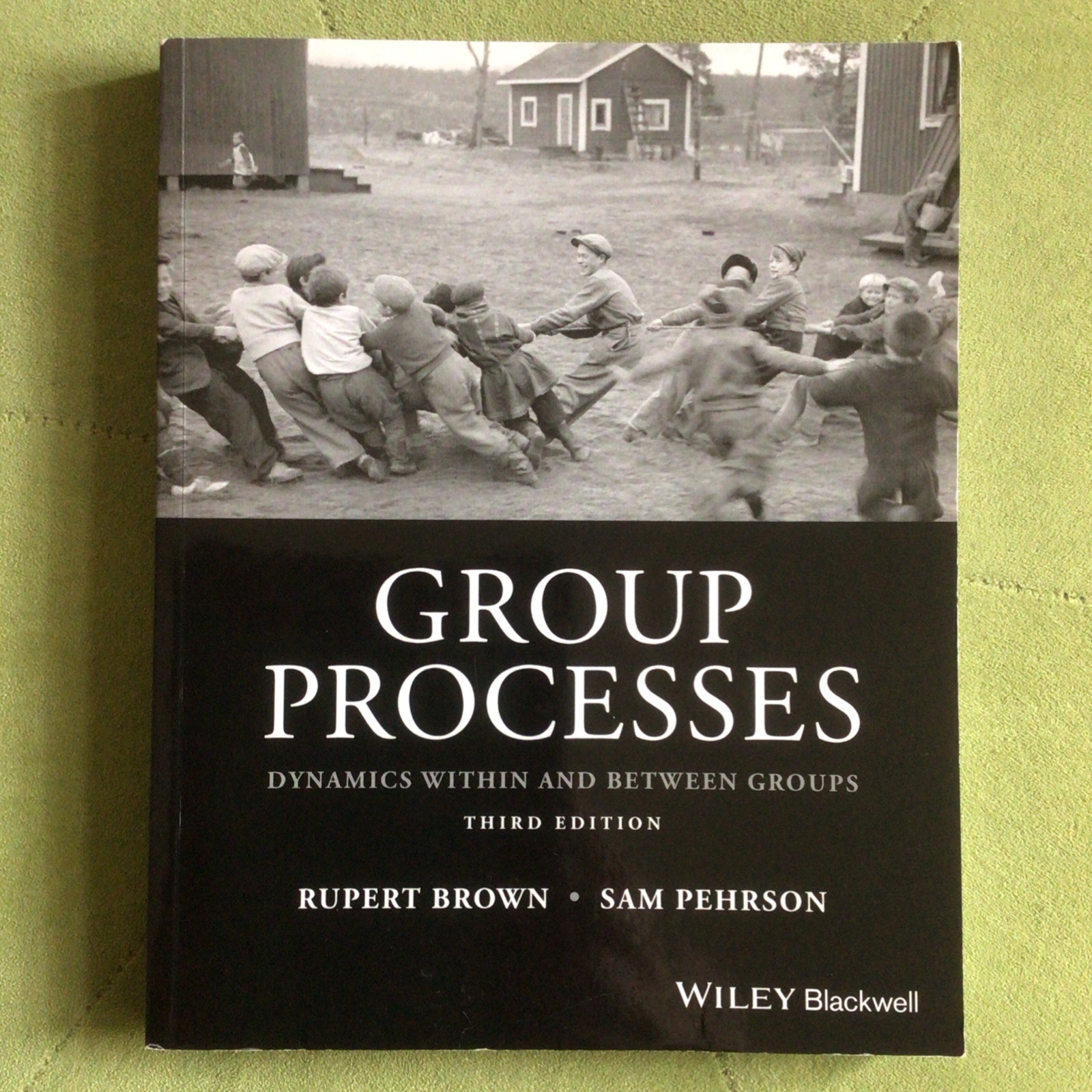Group Processes: Dynamics within and Between Groups
