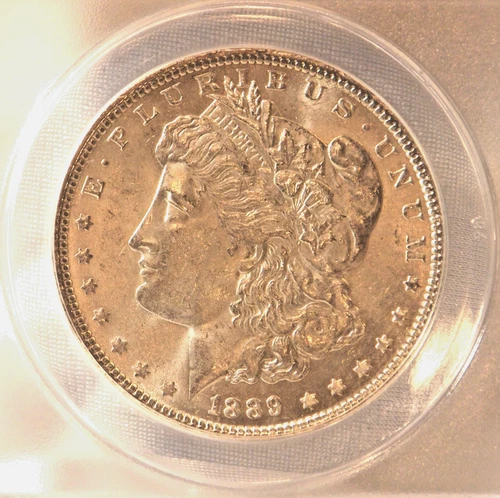 1889-P  MORGAN DOLLAR   *BRILLIANT WHITE LUSTER*   MS-62   VAM-5D  RARELY SEEN!