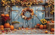 Fall Photography Backdrop, Autumn Pumpkin Harvest M, as shown in the picture