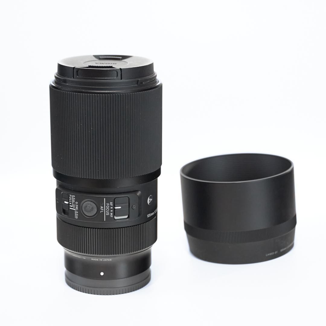 Sigma 105mm F2.8 DG DN MACRO Art Lens for Sony E Tested | eBay