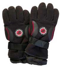 Boy's 3M Thinsulate Insulation 40 Gram Waterproof Fleece Ski Gloves, Size 8/10
