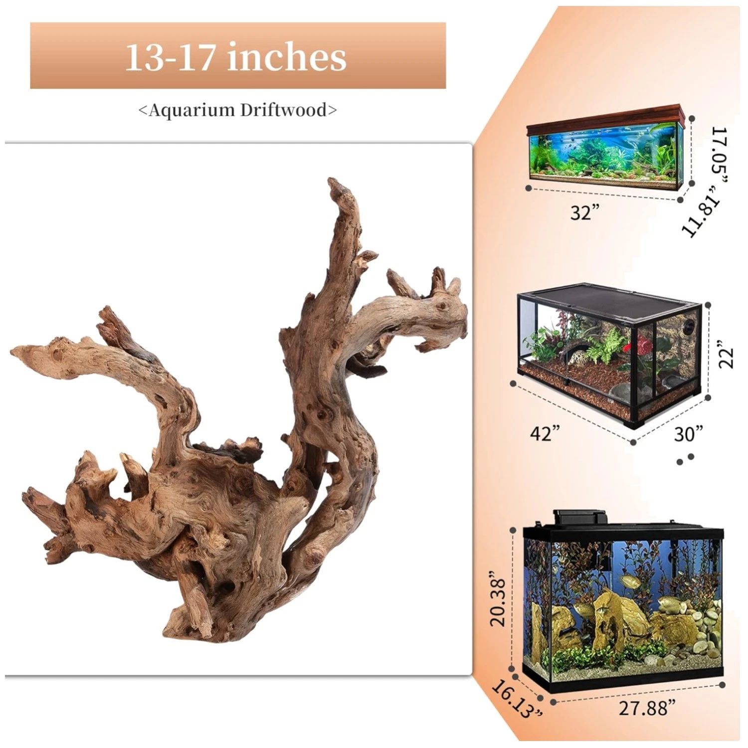 Driftwood for Aquariums & Terrariums