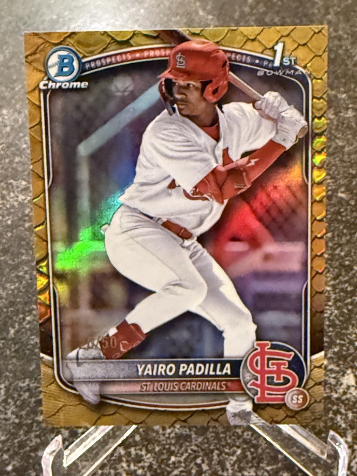 2025 Bowman Chrome First Yairo Padilla 1st Gold Reptilian Skin /50 Cardinals