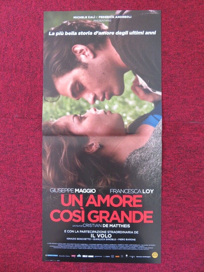 Locandina originale film Un amore così grande (2018) - Regia di Cristian De Mattheis