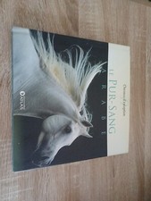 Le Pur-Sang Arabe Chevaux D'exception