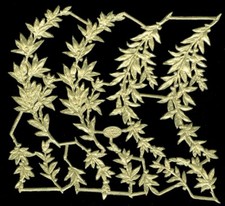 Sheet Of German Dresden Die Cut Gold Foil Paper Myrtle Branches Victorian Scraps