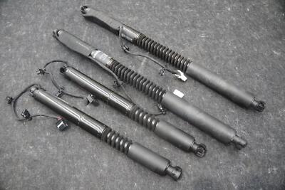 Set 4 Rear Right Falcon Door Lift Strut Cylinder 1063440-00-D Tesla Model X 2018