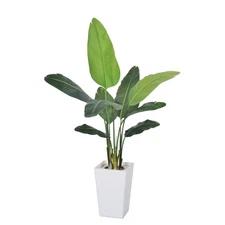 Bird of Paradise Plant Artificial 5ft,Faux Plants Indoor with White Planter,F...