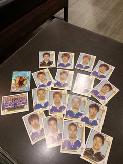 Panini FIFA World Cup Korea Japan 2002 Japan Team Full