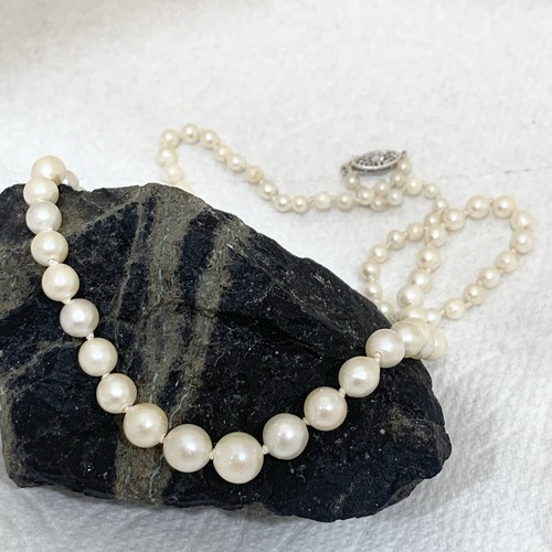 COLLANA PERLE AKOYA oro bianco 10 kt vintage filo graduato lucentezza avorio AAA 17” - Foto 2 di 11