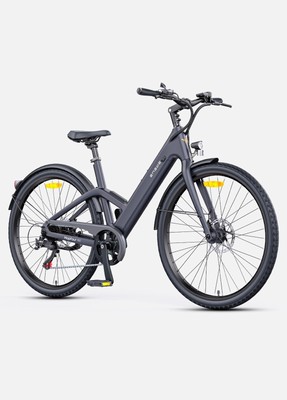 250W EBIKE Leicht Kohlefaser Elektrofahrrad 36V 10AH E Mountainbike ENGWE N1 ST