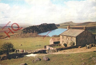 Ansichtskarte> Felslough und die römische Mauer, Hadrianswall