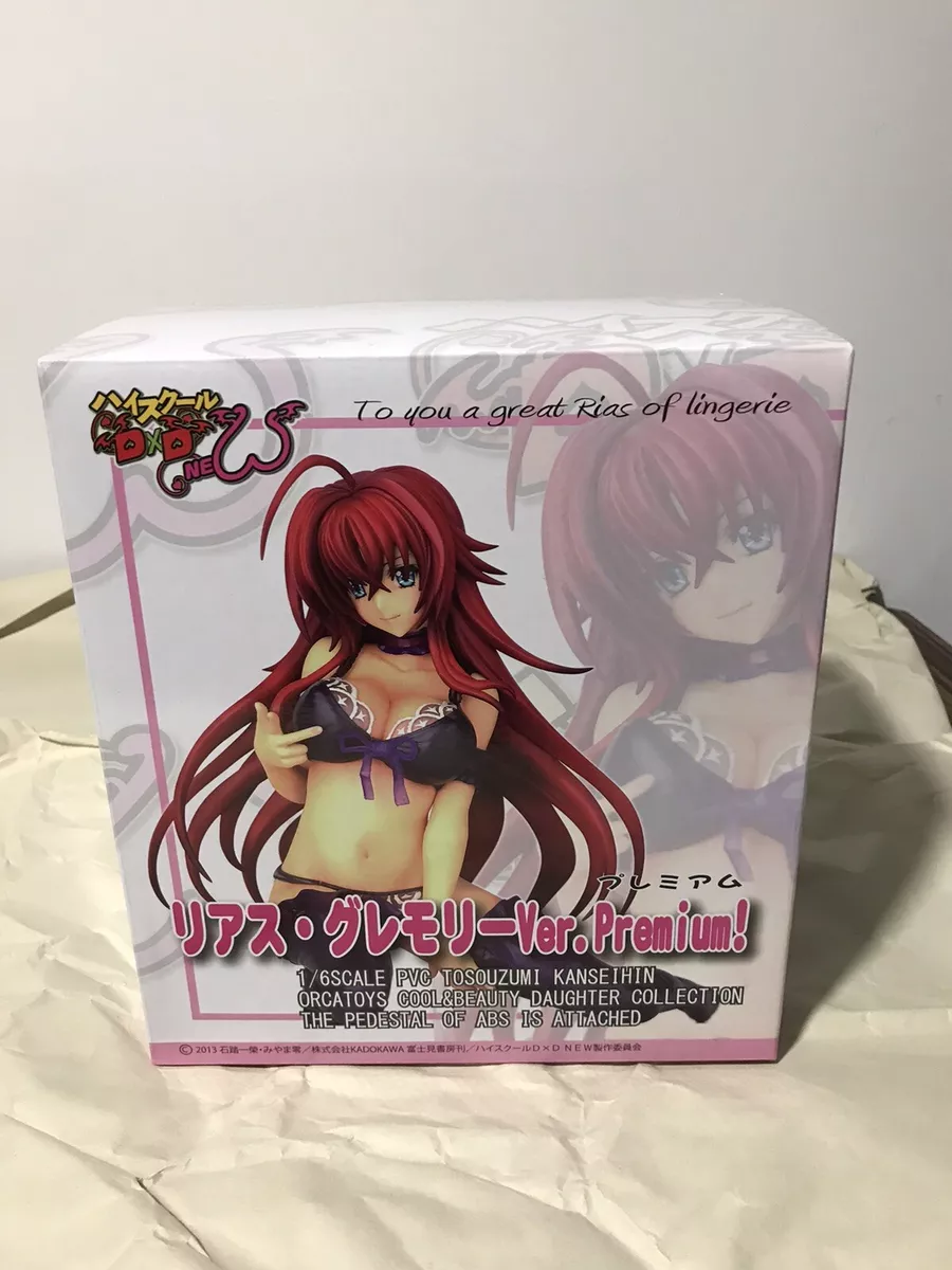 High School DXD Rias Gremory Anime Cushion Seat Cushion Both Time Pillowcase Onl
