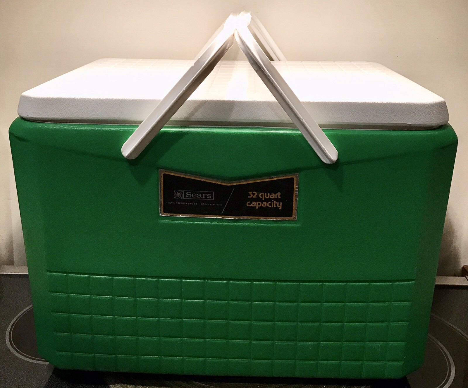 Ice Chest Orange White Rare 1975