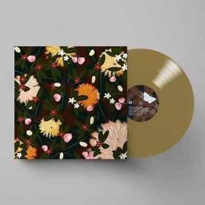 Bright Eyes Noise Floor Rarities 1998-2005 Double Colour Vinyl 2LP NEW & SEALED