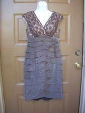 NWT NEW ADRIANNA PAPELL DRESS SIZE 4 SMALL METALLIC LACE SATIN $199