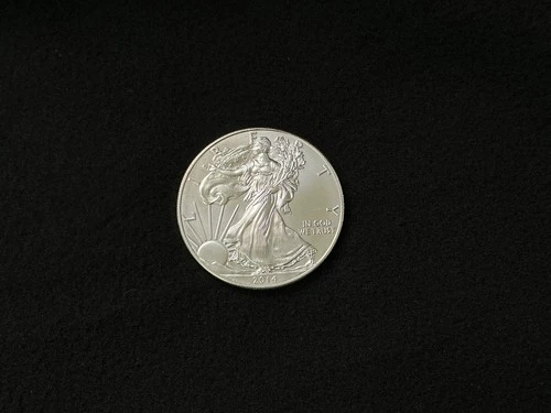 2014 American Silver Eagle BU 1 Oz Coin US $1 Dollar Mint  Uncirculated #6