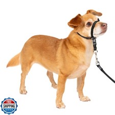 PetSafe Gentle Leader Headcollar No-Pull Dog Collar - Helps Impro