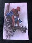 AMAZING SPIDER-MAN #33 VIRGIN DELL OTTO EXCLUSIVE SPIDERMAN 1