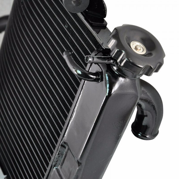 Mim Distribution Stopfen HeizköRper Kompatibel Honda Sh 125 150 Hornet 600 900-image