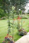 2.4M Garden Arch Trellis Metal Tubular Frame Climbing Plant Archway Arbour Arch
