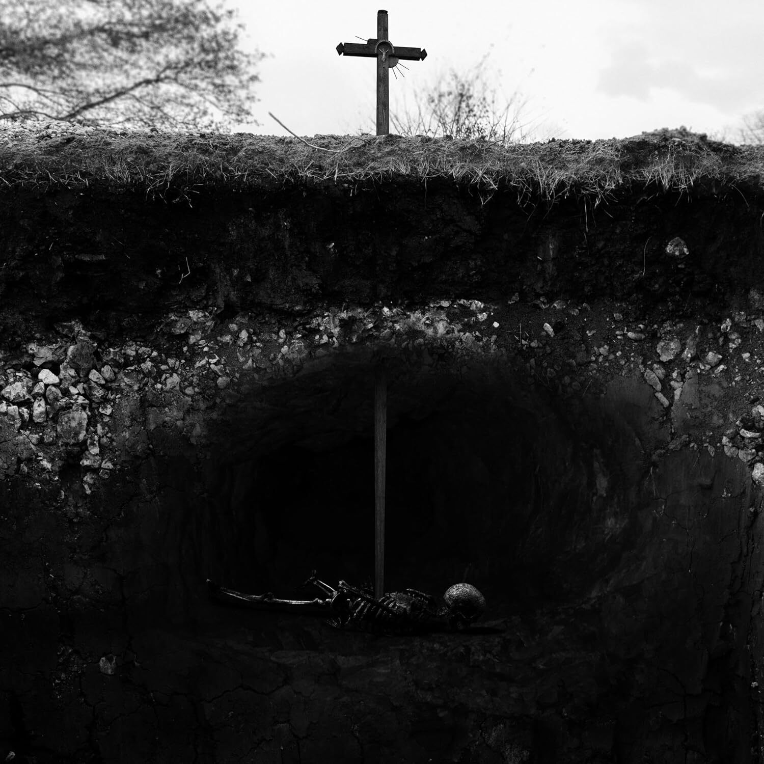 Caged From Roving About the Earth (Vinyl LP) 12" Album