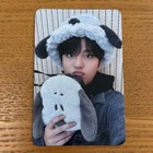 Foto 10 di 11